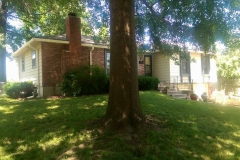 11049507_400149540187615_1873660020791032152_n